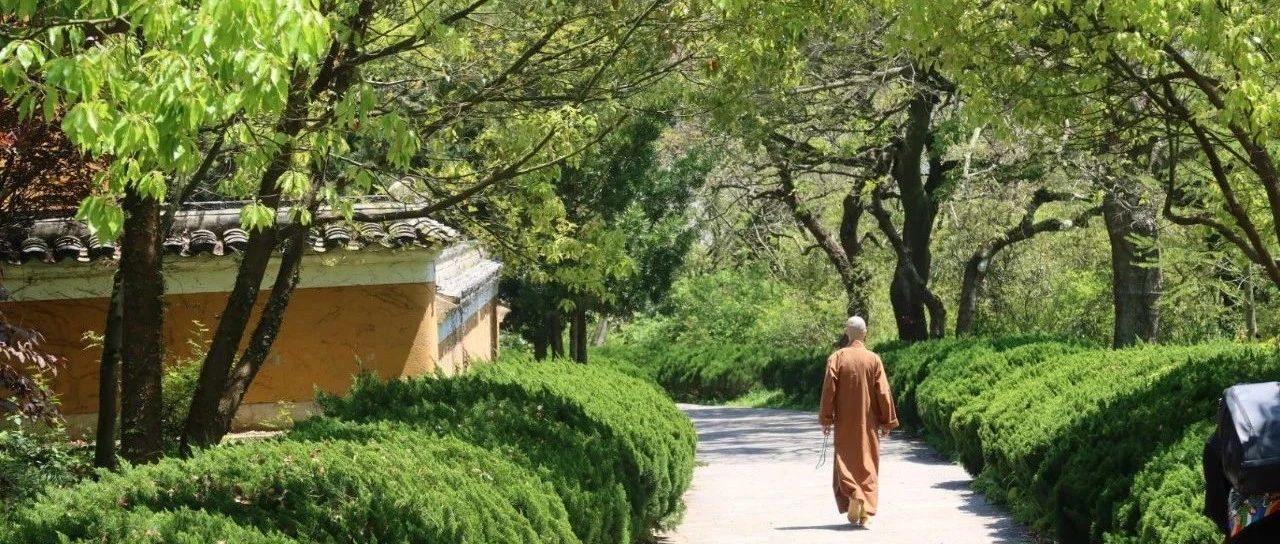 靠近中心-2025-04-27号随笔