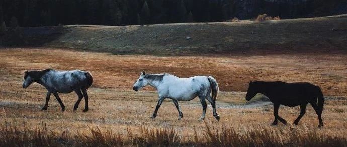 潮起潮落、物极必反-2025-04-30号随笔