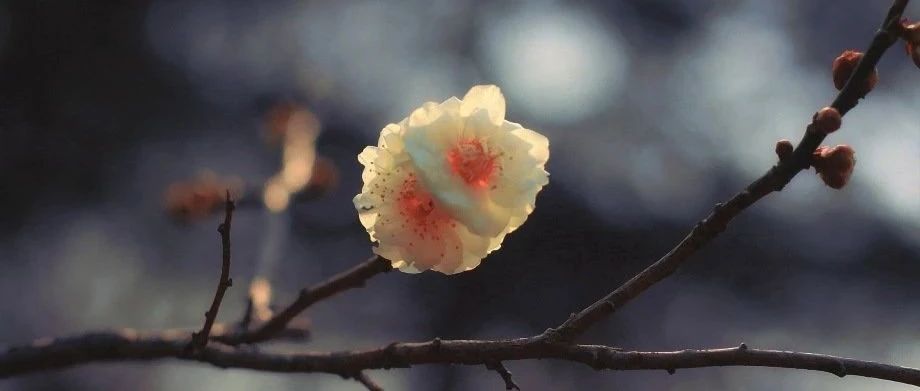 修行在红尘-2025-05-24号随笔