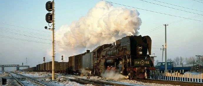 永远不要低估了人的动物性-2025-06-02号随笔