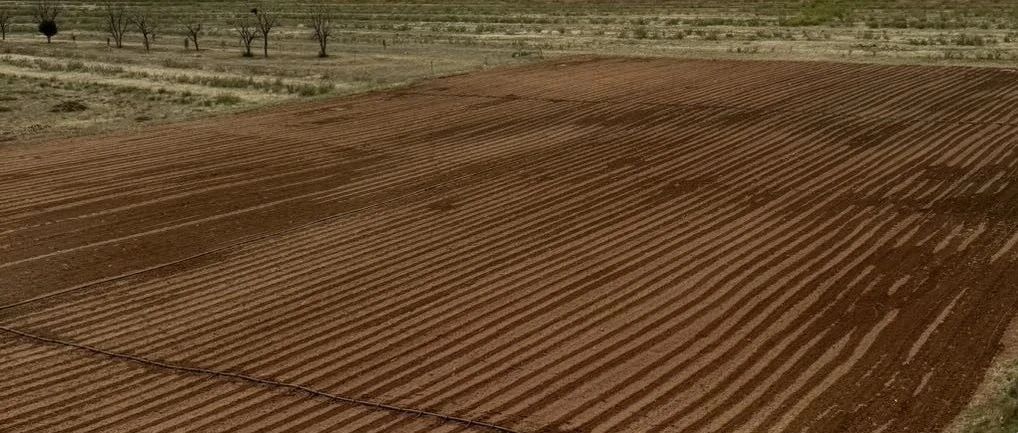 管不了天，还管不了你-2025-06-10号随笔