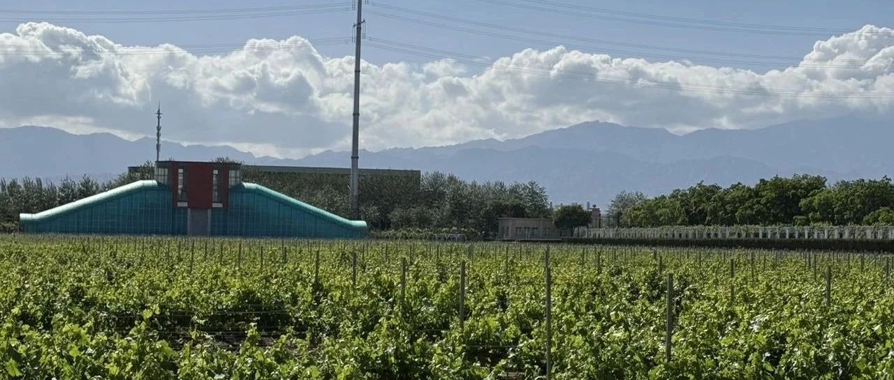 凡是优秀的品牌都在挑选客户--2025-06-17号随笔