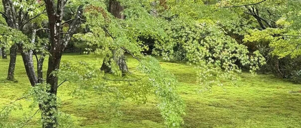 人法地，地法天，天法道，道法自然-2026-01-03号随笔