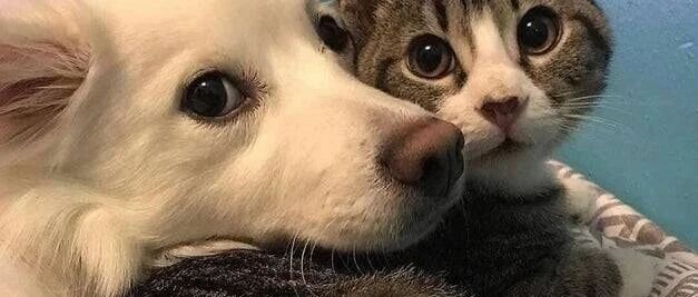 人生就是体验-2026-01-10号随笔