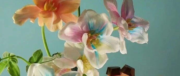 缺少了榜样+陪伴 2026-01-21号随笔