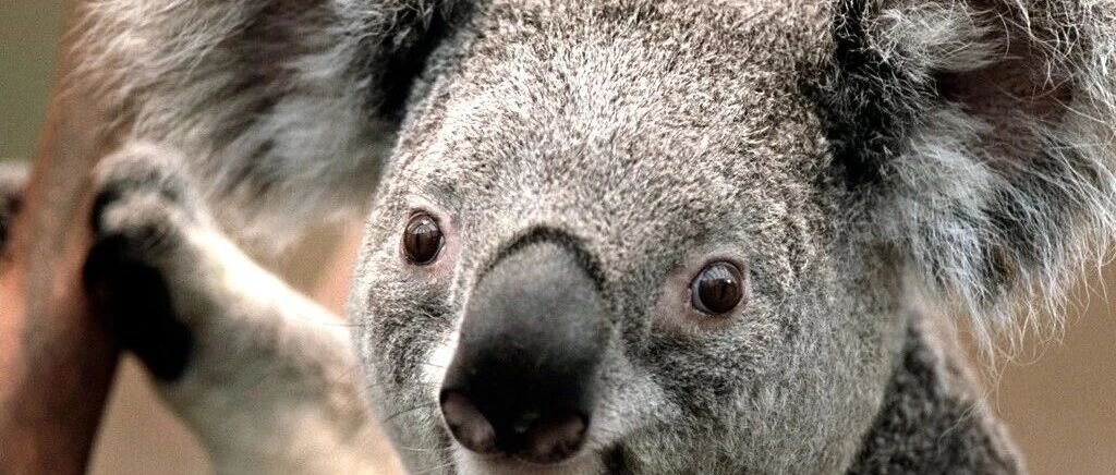 每一只青蛙都有自己的井2026-01-22号随笔